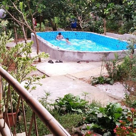 Family Homestay Баві Екстер'єр фото