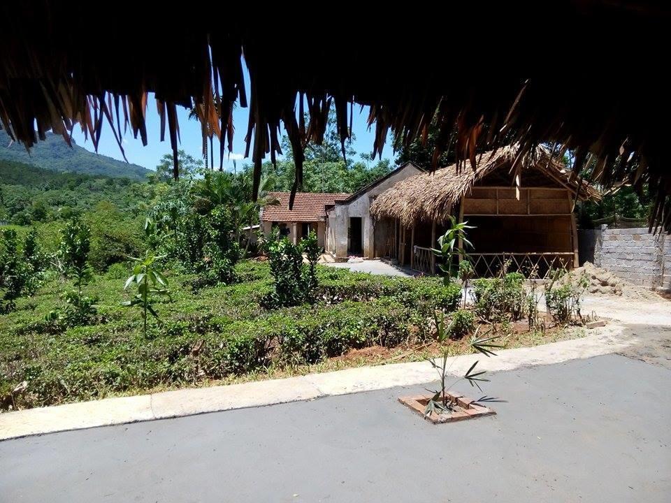 Family Homestay Баві Екстер'єр фото