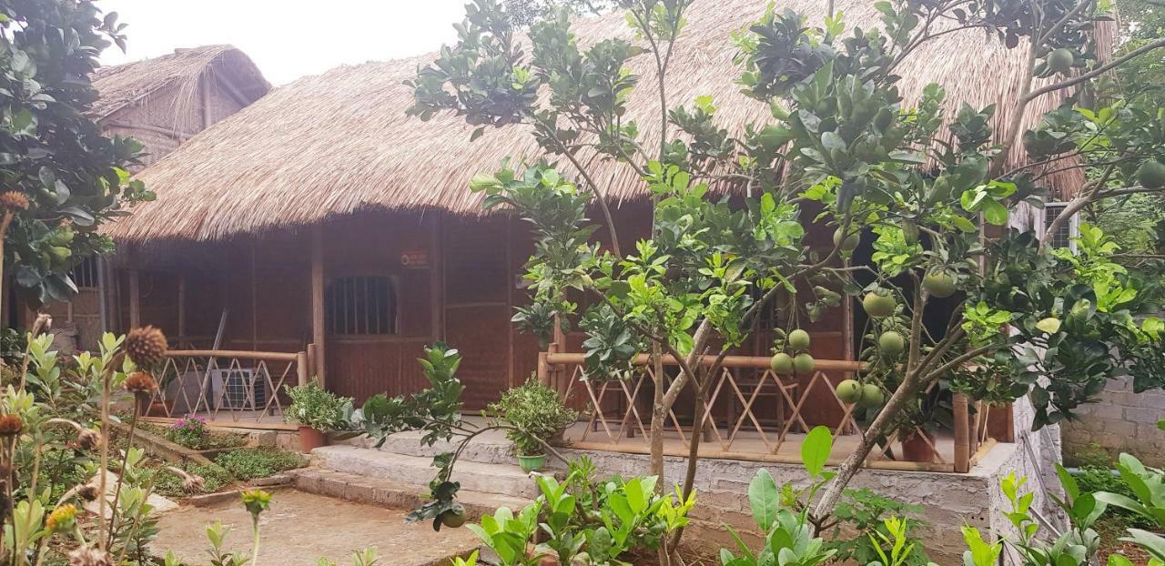 Family Homestay Баві Екстер'єр фото