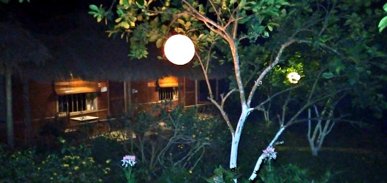 Family Homestay Баві Екстер'єр фото